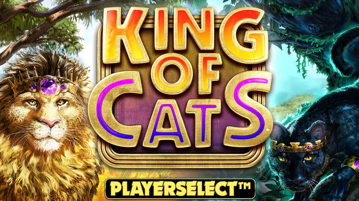 King of Cats Megaways Playerselect™ Live Launch