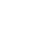 Jaak Casino Logo