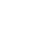 Miami Dice Logo