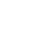 Mr Vegas Logo