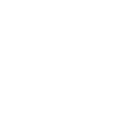 Playzee Logo