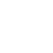 Race Casino Logo